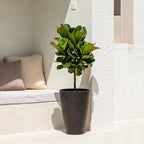 LA JOLIE MUSE 20inch Tall Black Planters Set of 2,Large Planters for Outdoor Plants,Flower Containers for Front Porch, Honeycomb