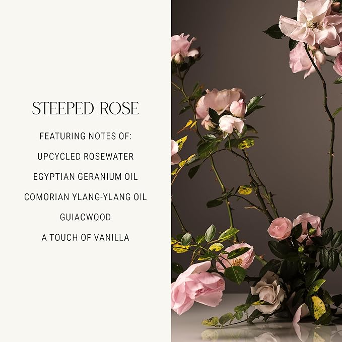 Homecourt Room Deodorant, Natural Room Spray, Fine Fragrance of Rose & Vanilla, For Kitchen, Bathroom & more, Clean Formula, Steeped Rose, 3.4 oz