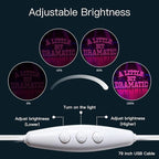 WLHOPE A Little Bit Dramatic Neon Signs for Wall Decor Adjustable Pink LED Lights Decorations for Party Club Living Room Bedroom Office Bar Home Creative Wall Decor