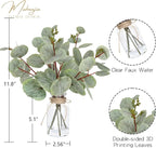 Artificial Eucalyptus Stems in Glass Vase with Faux Water,5Pcs Fake Plant with Double-Sided Leaves and Green Seeds for Centerpiece (Double-Sided Green Eucalyptus with Seed)