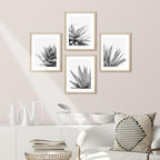 SIGNWIN Framed Black White Snake Plant Agave Cactus Succulent Wall Art, Set of 4 Floral Botanical Wall Decor Prints, Nature Wilderness Wall Décor for Living Room, Bedroom - 12"x16" Natural
