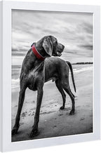 VCK 18x24 Poster Frames 3 Pack White MDF Wood and Polished Plexiglass Frame,Display Pictures in Horizontal and Vertical…