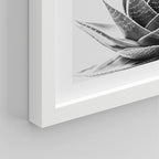 SIGNWIN Framed Black White Snake Plant Agave Cactus Succulent Wall Art, Set of 4 Floral Botanical Wall Decor Prints, Nature Wilderness Wall Décor for Living Room, Bedroom - 8"x10" White
