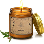 Home Scented Candles, 16oz Large Jar Scented Candle – Eucalyptus Soy Wax Candle with 100 Hour Burn Time, Long Lasting Aromatherapy Candle for Stress Relief, Fresh Home Fragrance & Spa Gifts