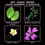 LOVSPA Reed Diffuser Set, Unwind Eucalyptus & Mint Scented Oil Diffuser with Sticks, Home Fragrance Accessories for Bathroom Shelf Decor, Aroma Diffusers for Home or Office Desk, USA Made