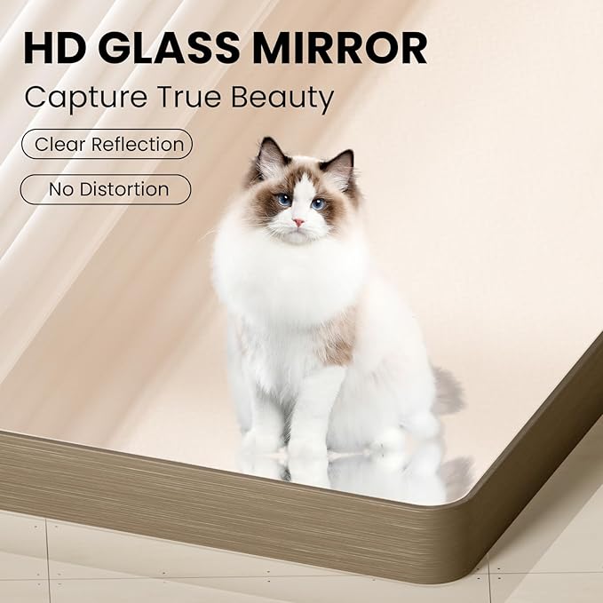 Bronze Bathroom Mirror 20x30 Inch, Brushed Bronze Metal Frame Mirror for Wall, Rounded Rectangle Bathroom Vanity Mirror with Tempered Glass, Anti-Rust, Horizontal/Vertical