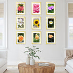 12 Packs 5x7 Picture Frames Bulk, Display 4x6 with Mat or 5x7 Without Mat, Gold Gallery Frame Set, 5 by 7 Frames Bulk Set of 12, Collage Wall Decor Photo Frame Set for Wall and Tabletop, Gold