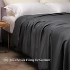 CUDDLE DREAMS Lightweight Silk Filled Comforter for Summer, Detachable Tencel Duvet Cover for Easy Care, Naturally Breathable (Steel Gray, Queen)