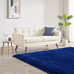 Blue Rug for Kids Room: Rugs for Room Boys- Blue Fluffy Rug for Bedroom （4x6 Feet.Blue