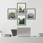 SIGNWIN Framed Tropical Island Wall Art, Set of 4 Green Desert Plant Cactus Snake Plant Wall Decor Prints, Nature Wilderness Wall Décor for Living Room, Bedroom - 11"x14"Black