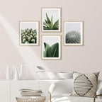 SIGNWIN Framed Tropical Island Wall Art, Set of 4 Green Desert Plant Cactus Snake Plant Wall Decor Prints, Nature Wilderness Wall Décor for Living Room, Bedroom - 12"x16" Natural