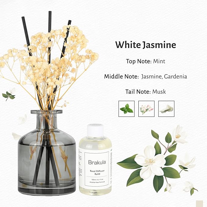 Brakula Reed Diffuser Set, 6.09 fl oz (180 ml)- White Jasmine with 8 Reed Sticks, Home Fragrance Reed Diffuser for Bathroom Shelf Decor