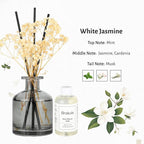 Brakula Reed Diffuser Set, 6.09 fl oz (180 ml)- White Jasmine with 8 Reed Sticks, Home Fragrance Reed Diffuser for Bathroom Shelf Decor