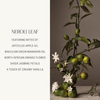 Homecourt Luxury Scented Candle, 60-Hour Burn Time, Soy Wax Blend & Organic Cotton Wick, Kiln-Fired Reusable Ceramic Vessel, Neroli Leaf, 8 oz