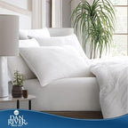 DAN RIVER Double Needle Pillows Standard (20x26), Set of 2 | White Hotel Pillows | Cooling Pillow for Side Sleepers | Back Sleeper Pillows | Best Pillows for Sleeping | Dorm Room Essentials