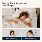 Pacific Coast Pillows Queen Size Set of 2, Goose Feather and Down Pillow for Sleeping, 3-Chamber Hotel Pillow for Side Sleepers and Back Sleepers