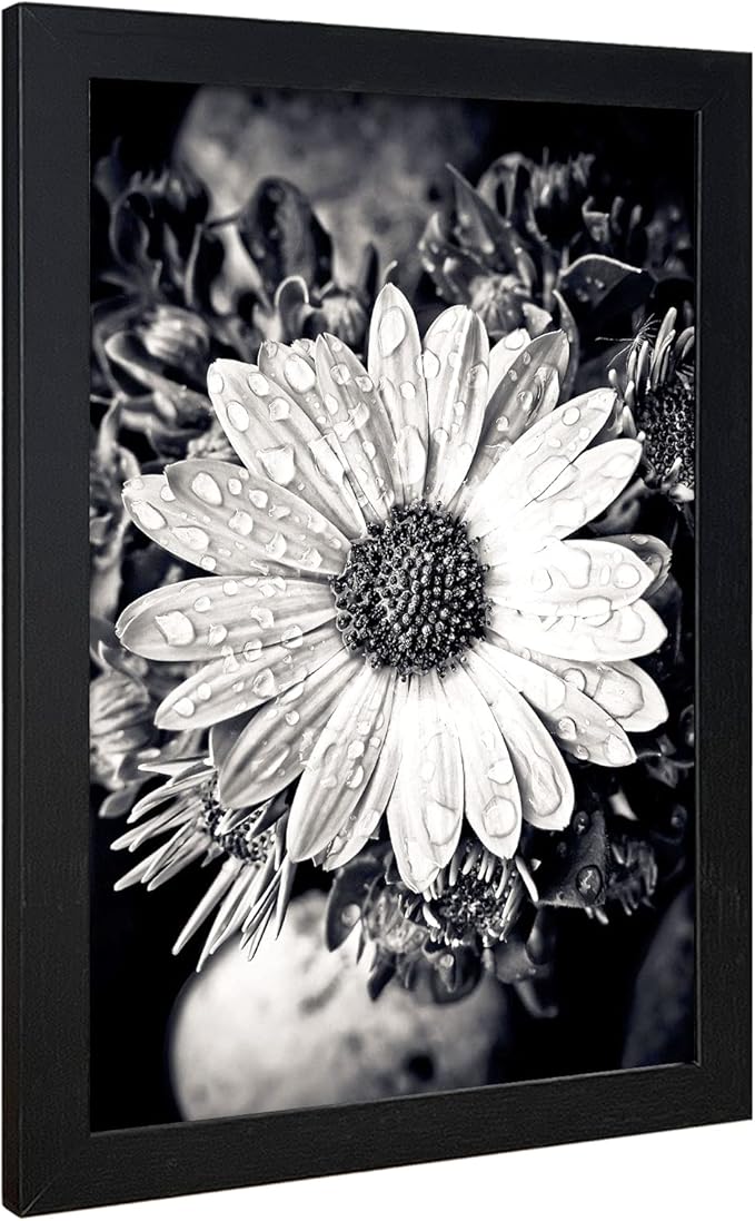 VCK Poster Frame 11x17 Set of 3, Wood Black Picture Frame, Wall Gallery Photo Frames, 3 Pack