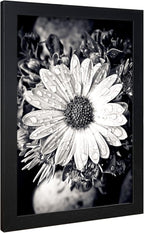 VCK Poster Frame 11x17 Set of 3, Wood Black Picture Frame, Wall Gallery Photo Frames, 3 Pack