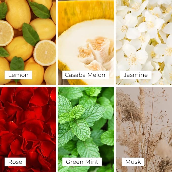 Frosted Verbena Reed Diffuser Set - Decorative Fragrance Diffuser & Oil for Bathroom & Home | Long-Lasting Aroma | Natural Scent Sticks | Essential Oils & Botanicals| 100mL