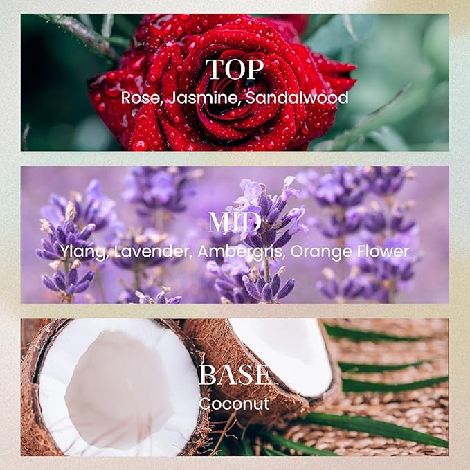 M&SENSE 10.14 oz Large Reed Diffuser Set | Oud Wood Scent Oil Diffuser with Sticks | Hotel Collection Non-Toxic Essential Oil |for Bedroom Bathroom Living Room