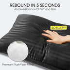 Basic Beyond Queen Size Pillows for Sleeping - Soft Down Alternative Pillows Luxury Hotel Collection Bed Pillows Queen Size Set of 2,Black,20x28 Inches