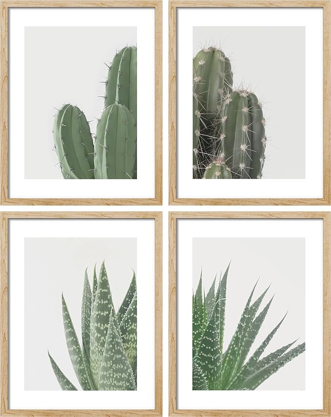 SIGNWIN Adhesive Canvas Poster Green Cactus Snake Plant Collage Desert Landscape Nature Wilderness Photography Realism Decorative Rustic Cozy Zen for Living Room, Bedroom, Office - 12"x16"x4