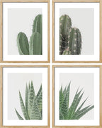 SIGNWIN Adhesive Canvas Poster Green Cactus Snake Plant Collage Desert Landscape Nature Wilderness Photography Realism Decorative Rustic Cozy Zen for Living Room, Bedroom, Office - 11"x14"x4
