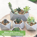 5 lbs Drainage Rocks for Potted Plants, 1/5 Inch Small Pebbles for Indoor Plants, Decorative Gravel for Vases, Bamboo, Succulent, Terrarium, Crafts, Cactus