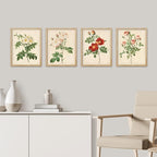 SIGNWIN Framed Vintage Colorful Wildflower Wall Art, Set of 4 Variety Floral Wall Decor Prints, Nature Wilderness Wall Décor for Living Room, Bedroom - 8"x10" Natural