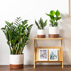 vancasso Ceramic Pots for Plants, Plant Pots for Indoor Plants, 6.25+8.25+10.25 Inch Ceramic Planters, Flower Pots with Drainage Holes, Planters Pot for Indoor House Plant, Set of 3, Khaki