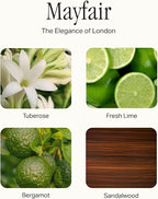 Preston Lane Complete Candle Set, 4 Double-Wick Scented Candles with Vegan, Soy Wax Blend, 7.5 Oz Each