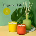 LAFCO New York Reed Diffuser Refill, Rosemary Eucalyptus - 8.4 oz - Up to 4-Month Fragrance Life - Includes Natural Wood Reeds - Free of Dyes & Propellants - Made in the USA