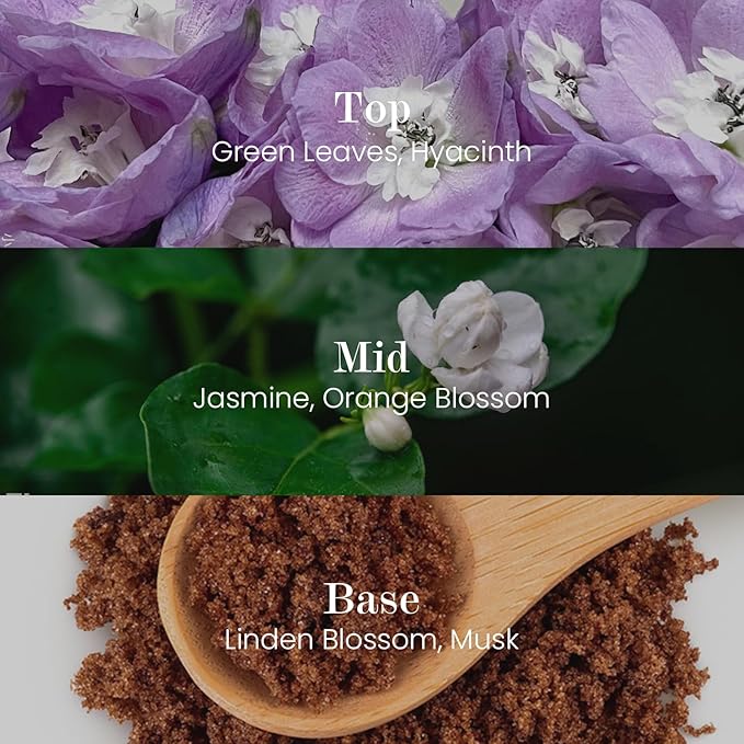 M&SENSE Natural Soy Candle| Bamboo Stream | 16.6 oz, 95H Burn | Minimalist Scented Candle for Relaxation, Gifting, Home Décor | for Bedroom, Office, Party Large