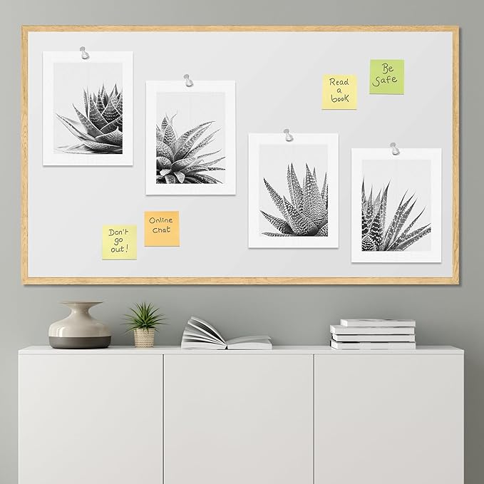 SIGNWIN Poster Set Black White Snake Plant Agave Cactus Succulent Close Up Floral Botanical Photography Modern Art Decorative Scenic Multicolor Nature Wilderness for Bedroom - 12"x16"x4