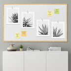 SIGNWIN Poster Set Black White Snake Plant Agave Cactus Succulent Close Up Floral Botanical Photography Modern Art Decorative Scenic Multicolor Nature Wilderness for Bedroom - 12"x16"x4