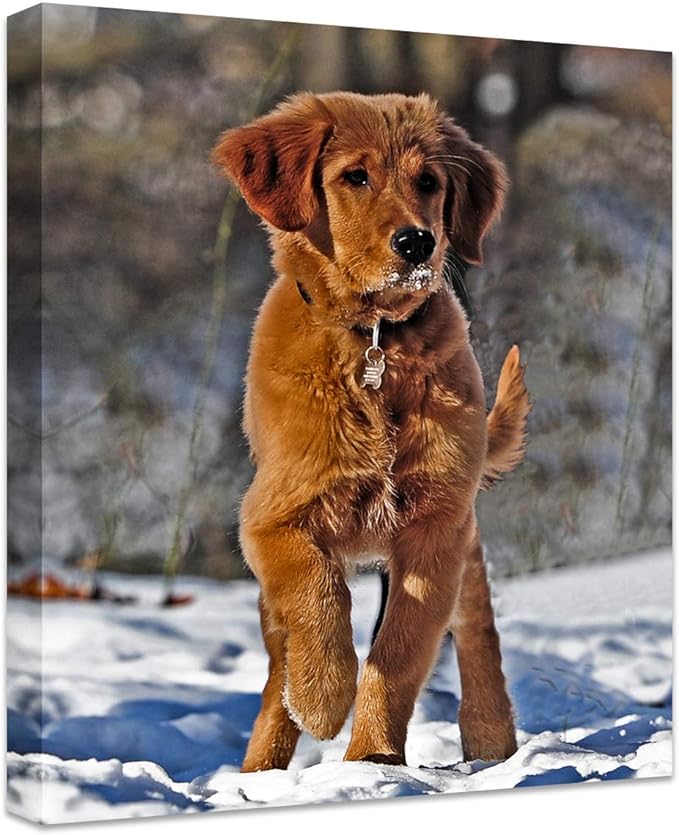 Personalized Photo to Canvas Print - Canvas Prints With Your Photos on Custom Wall Art for Bedroom, Living Room, Wedding Baby Pet Family Picture Framed Wall Art (16" W x 20" H)