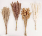 Natural Dried Pampas Grass Decor, Brown Pampas Grass， Bunny Tails Dried Flowers, Reed Grass Bouquet for Wedding Boho Flowers Home Table Decor, Fall Decor，Rustic Farmhouse Party (100 in Total )