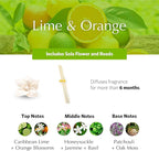 AGRARIA PetiteEssence Flower and Reed Diffuser Set, Hand Crafted Sola Flower Botanical Home Fragrance Set, Scented Oil Gift for All Occasions