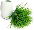 10 Bundles Artificial Grass Plants,Outdoor Faux Grass Plant UV Resistant Fake Plastic Wheat Grass for Indoor Outdoor Fake Realistic Grass for front porch yard patio balcony Garden Decoration- Green