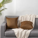 Throw Pillow Cases 20x20 Golden Brown: 2 Pack Cozy Soft Velvet Square Decorative Pillow Covers for Farmhouse Home Decor