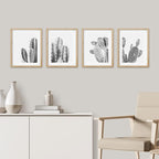 SIGNWIN Framed Black & White Saguaro Southwest Desert Tropical Cactus Wall Art, Set of 4 Floral Botanical Wall Decor Prints, Nature Wilderness Wall Décor for Living Room, Bedroom - 11"x14" Natural