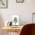 Syntrific 5x7 Acrylic Photo Frame 5Pack Premium Acrylic Photo Frame Magnetic Picture Frames Clear