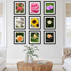 12 Packs 10x12 Picture Frames, Display 8x10 with Mat or 10x12 Without Mat, Gallery Wall Frame Set, 10 by 12 Frames Bulk Set of 12 Collage Wall Decor Photo Frames Set for Wall and Tabletop, Black