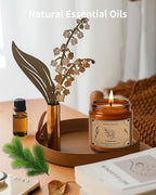 Candles for Home Scented, 16oz Large Jar Scented Candle – Cedarwood Soy Wax Candle with 100 Hour Burn Time, Long Lasting Aromatherapy Candle for Cozy Home Fragrance, Relaxation & Decorative Gift