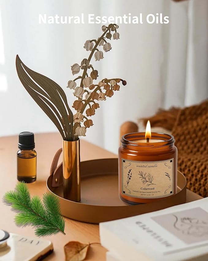 Candles for Home Scented, 16oz Large Jar Scented Candle – Cedarwood Soy Wax Candle with 100 Hour Burn Time, Long Lasting Aromatherapy Candle for Cozy Home Fragrance, Relaxation & Decorative Gift