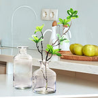 WDHODEC Glass Bud Vases Set of 4, Small Clear Vases for Flowers, Mini Glass Vase Assorted for Rustic Wedding, Floral Arrangements, Home Table Decorations