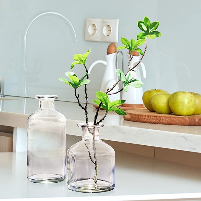 WDHODEC Glass Bud Vases Set of 4, Small Clear Vases for Flowers, Mini Glass Vase Assorted for Rustic Wedding, Floral Arrangements, Home Table Decorations