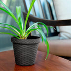 Elly Décor Set of 2 12 inch Round Saucer Modern Self Watering Planter Plates, Pots with Rattan-Like Finish, 12x12 Gray