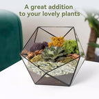 5LB Succulent and Cactus Pebbles, 1/5 Inch Jade Pebbles for Indoor Plants, Decorative Gravel for Vases, Bamboo, Succulent, Terrarium, Crafts, Cactus