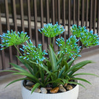 Artificial Agapanthus Africanus Fake African Lily Blue Flowers Fake Plants Outdoor Spring Summer Decoration Realistic Faux Greenery for Front Door Porch Planter Decor